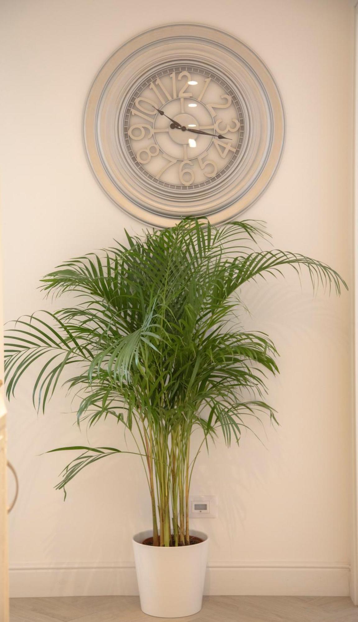 San Pietro Luxury Relais Bed & Breakfast Roma