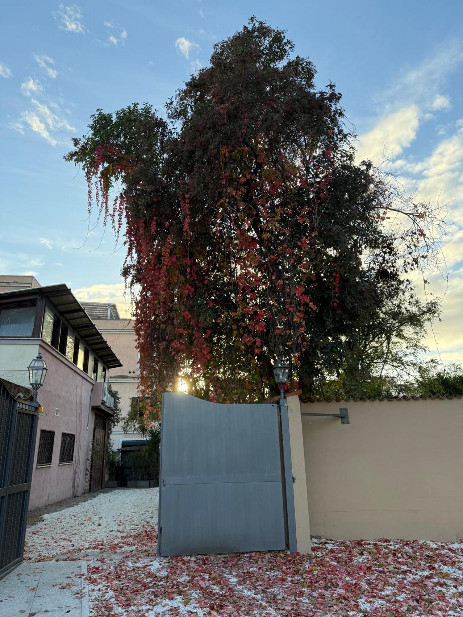Affittacamere Angela Roma