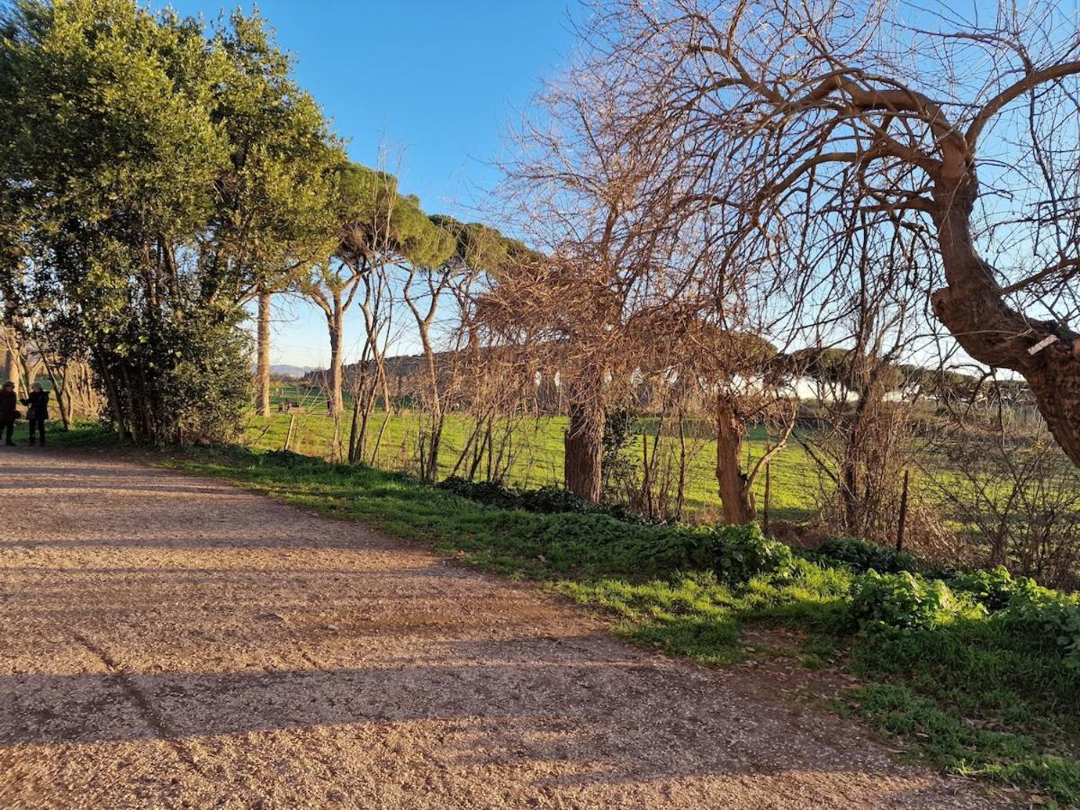 Appia Antica - Parco Acquedotti *