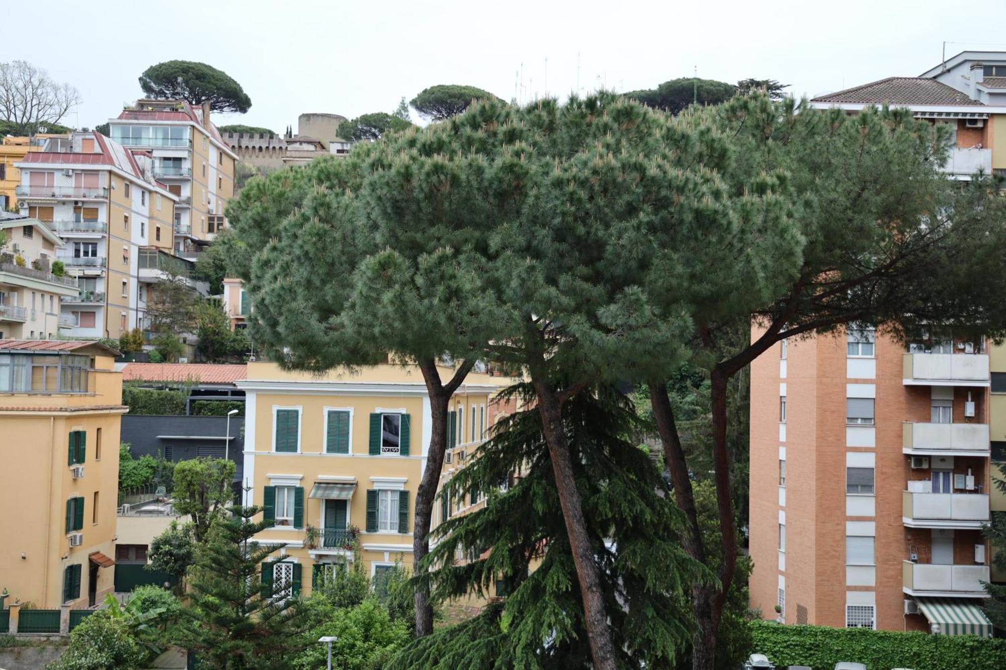 Affittacamere The Romex