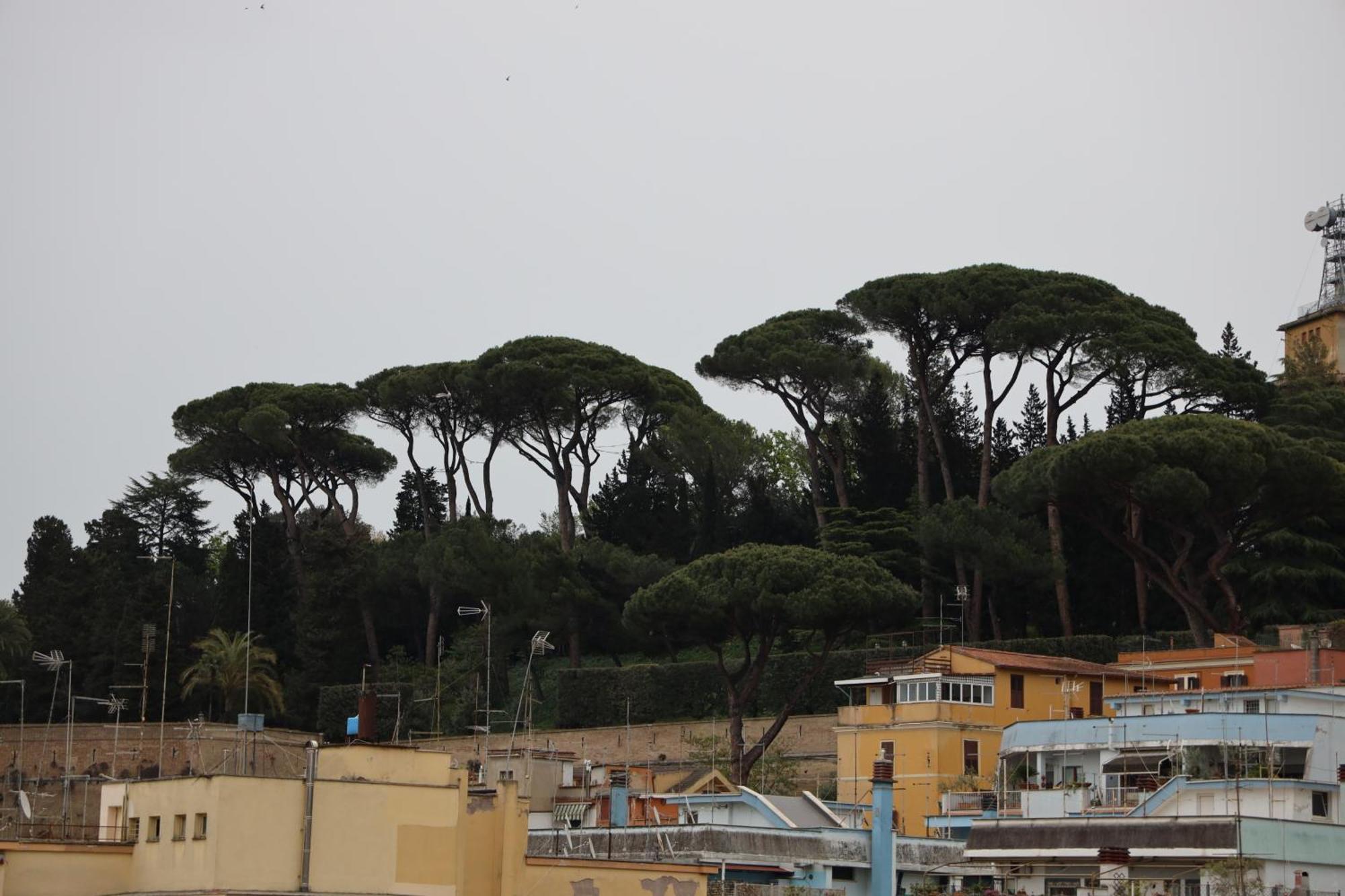 Affittacamere The Romex *