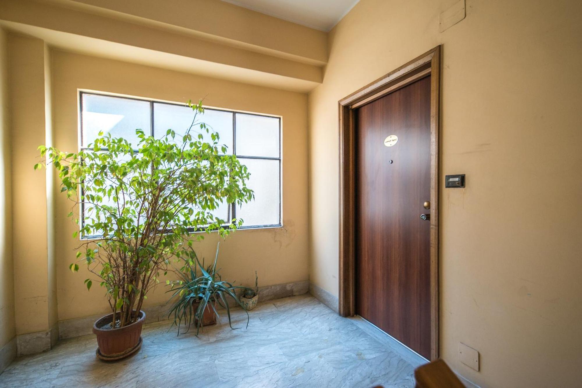 Guest house Domus Trevi Garbatella Rome