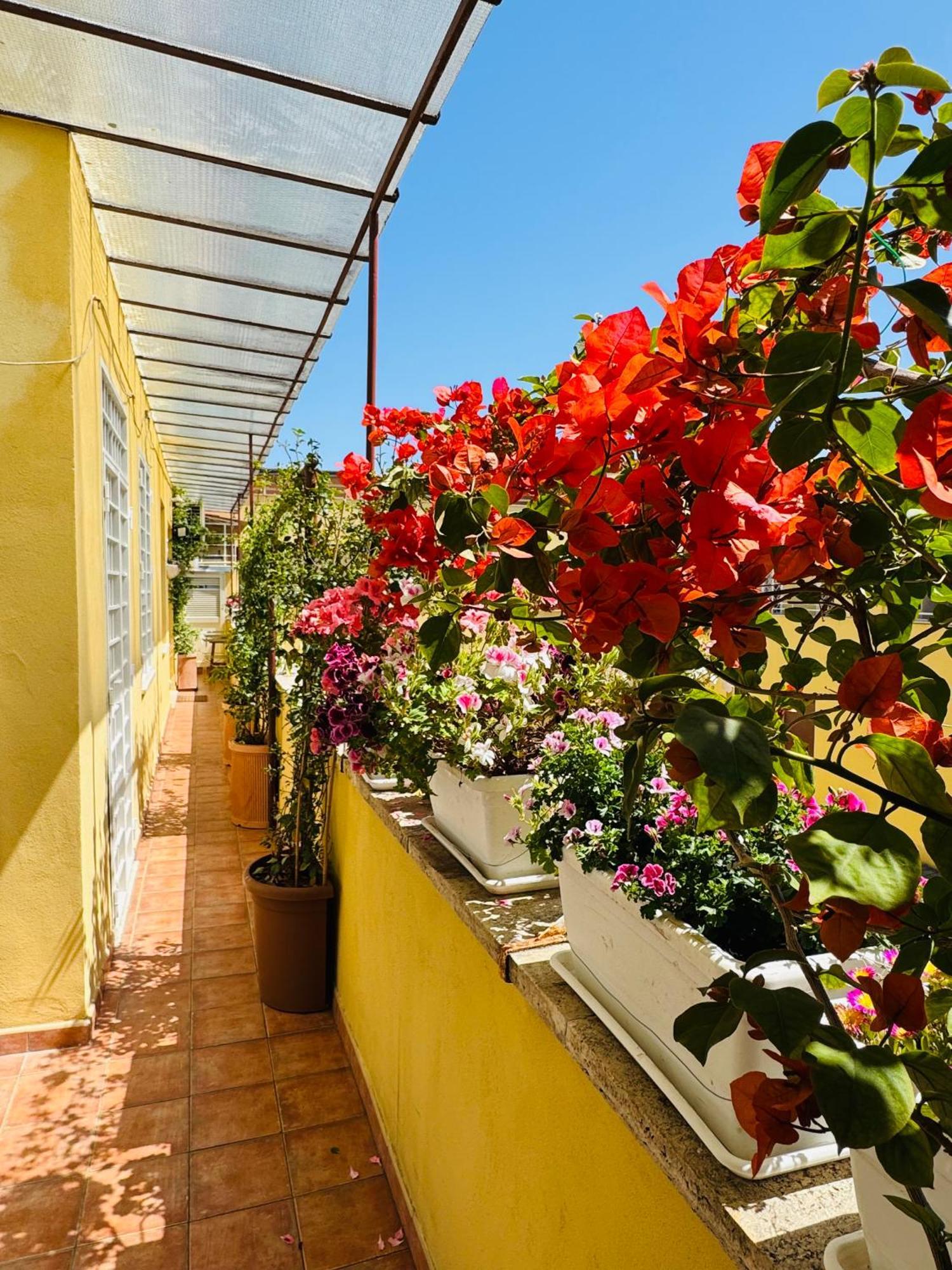 Otranto 36 Roma