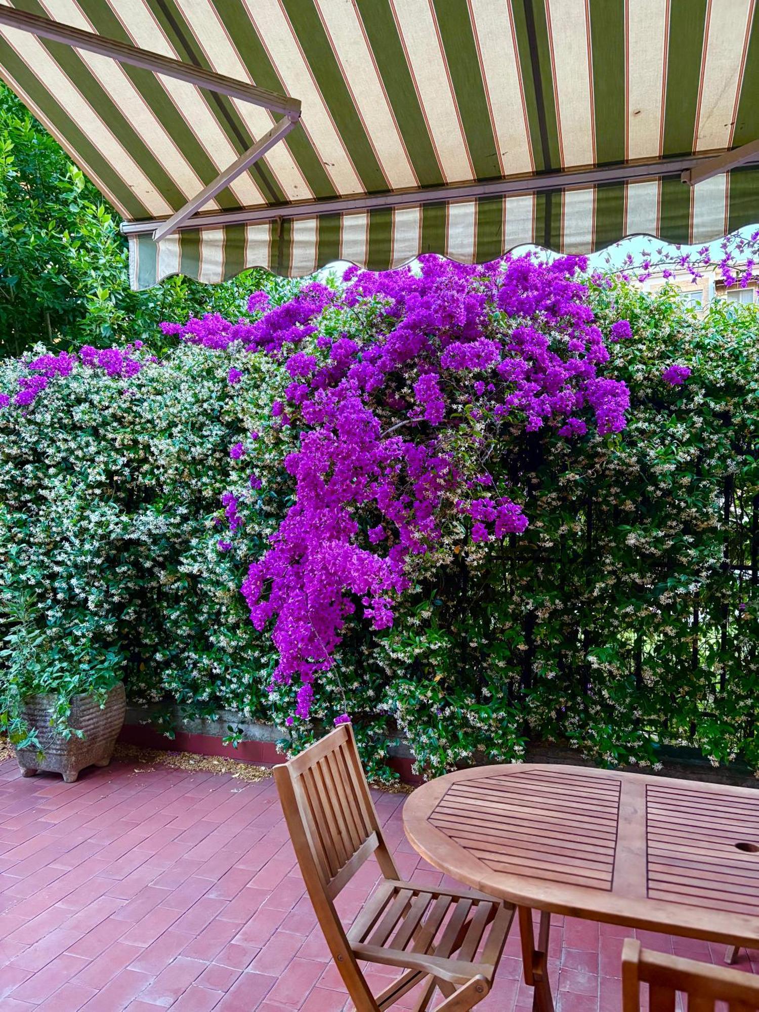 Apartment Casa Arianna Rome