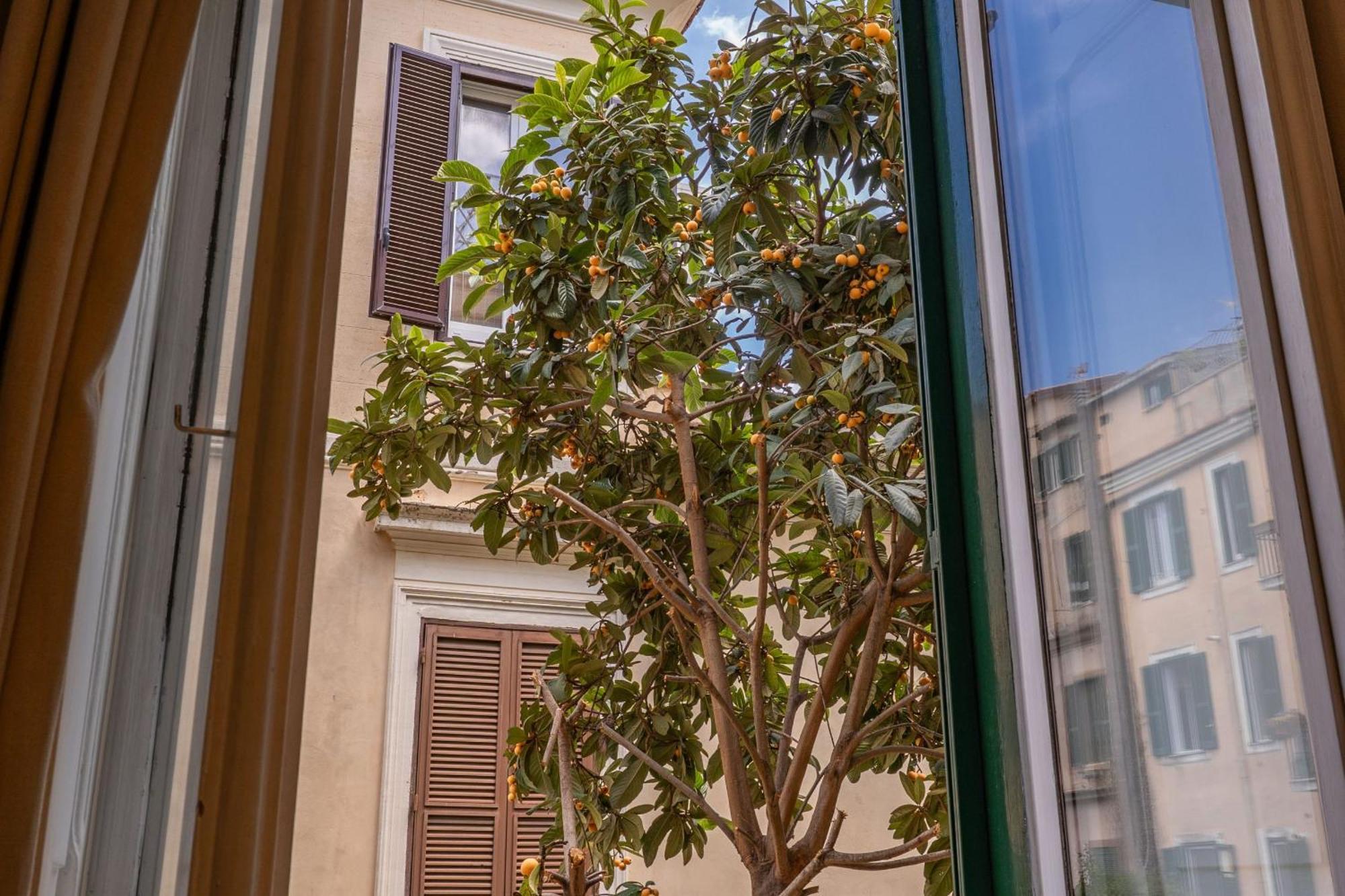 Imperia Pensión Roma