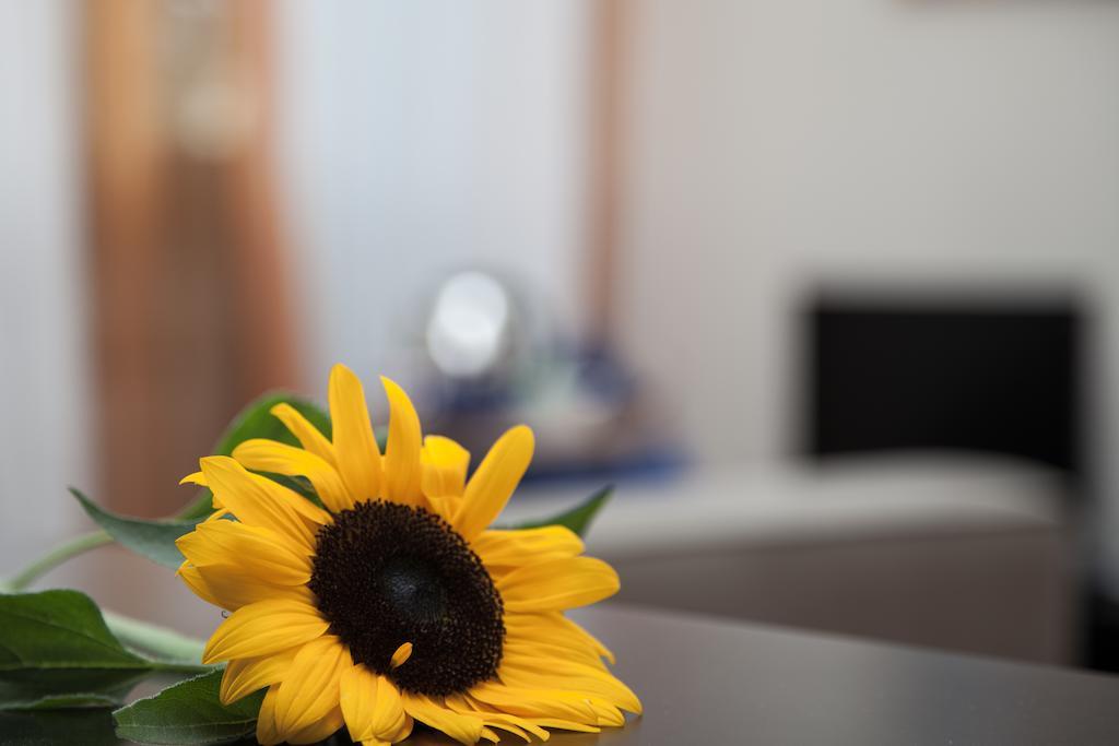 Santa Croce Bed & Breakfast Roma