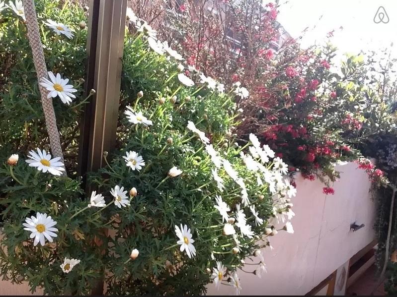 Highgarden * Roma