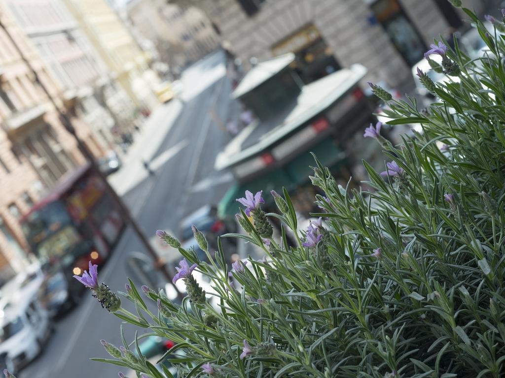 Corso Vittorio 308 Bed and breakfast Roma