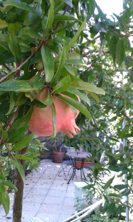 Gianicolo Penny's Garden A Centro