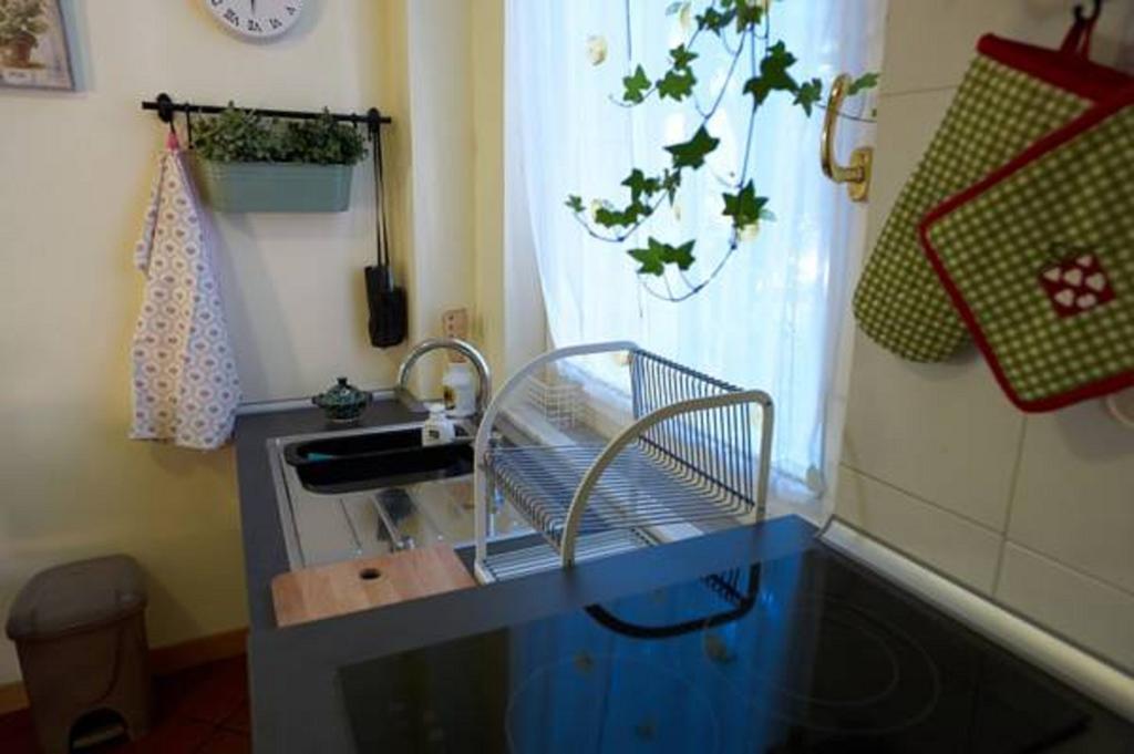 Casa de Férias Gianicolo Penny's Garden A Centro Roma