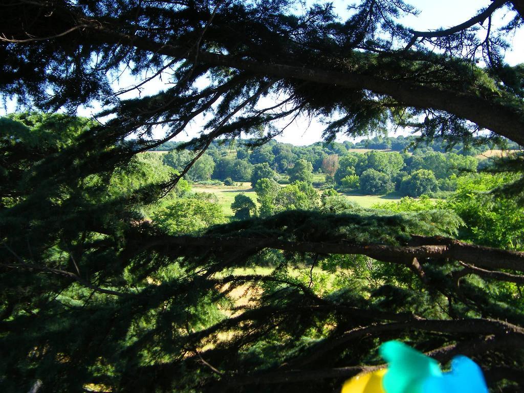 Appartamento In Green *