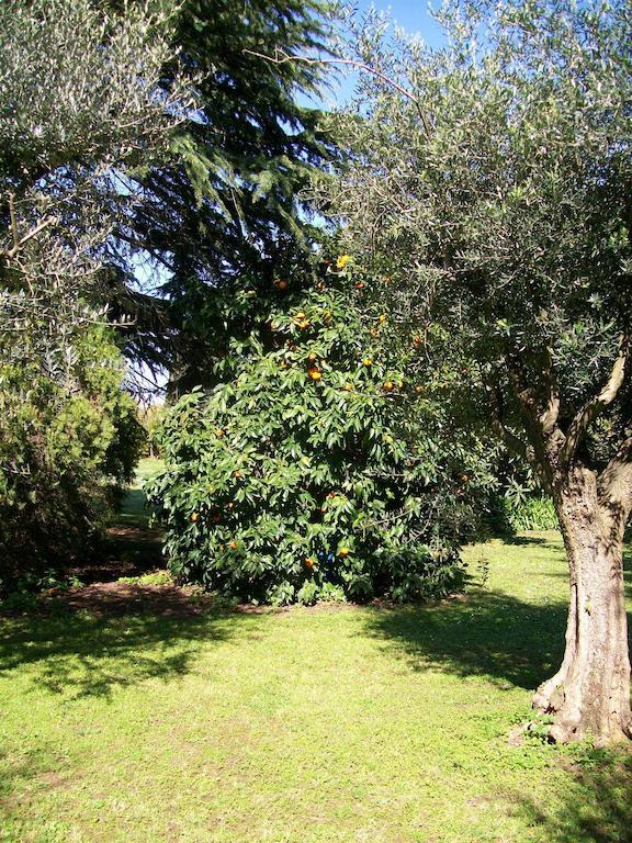 Apartamento Casale Di Caccia Roma