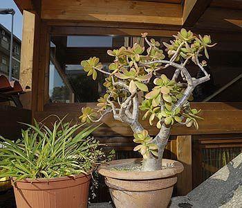 Hotel Il Castelletto Rom