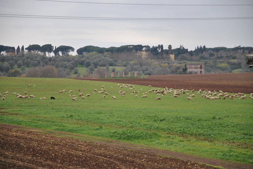 Gasthof Casale Appio