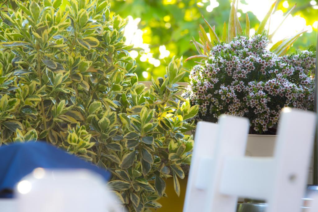Casa Martini Alojamento de Acomodação e Pequeno-almoço Roma