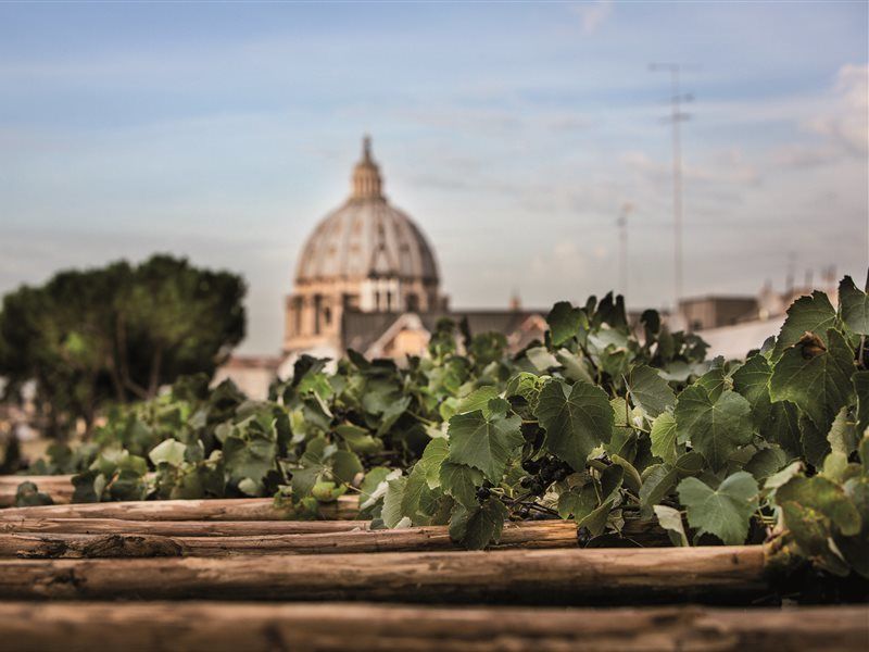Il Cantico St. Peter Hotel Roma