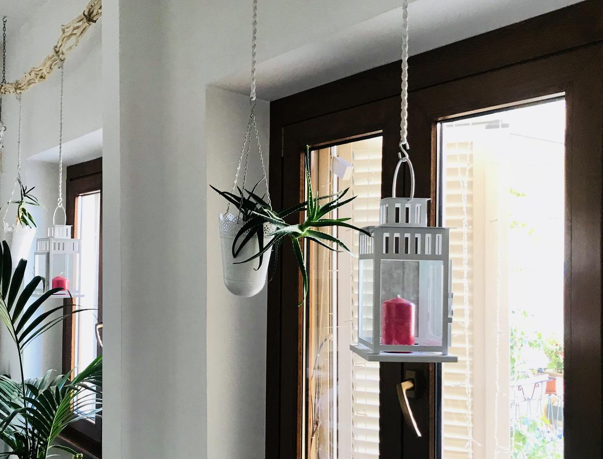 Acomodação com café da manhã  Shelisa B&B