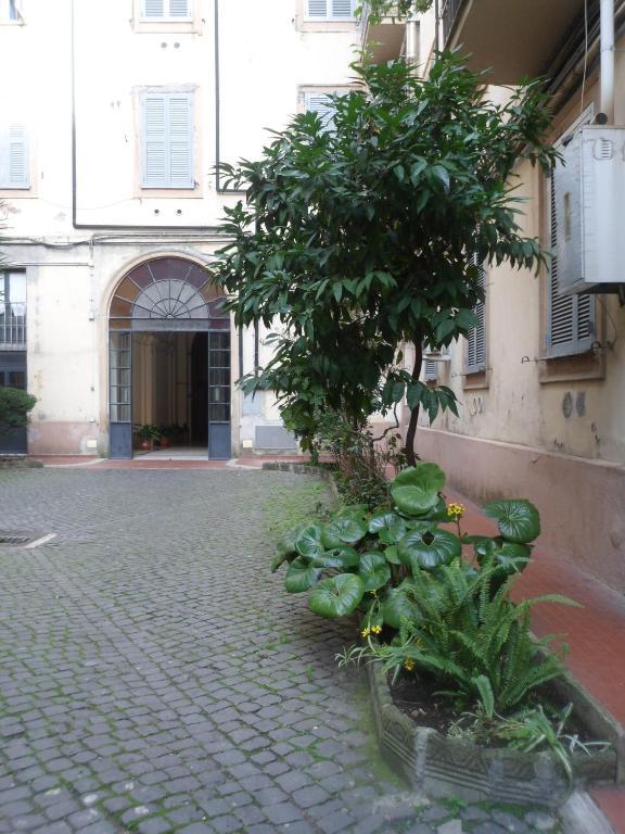 Giovy 2* Roma