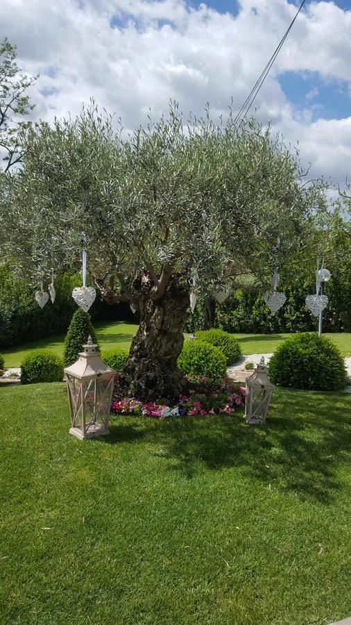 Bed and breakfast Sant'alessandro Roma