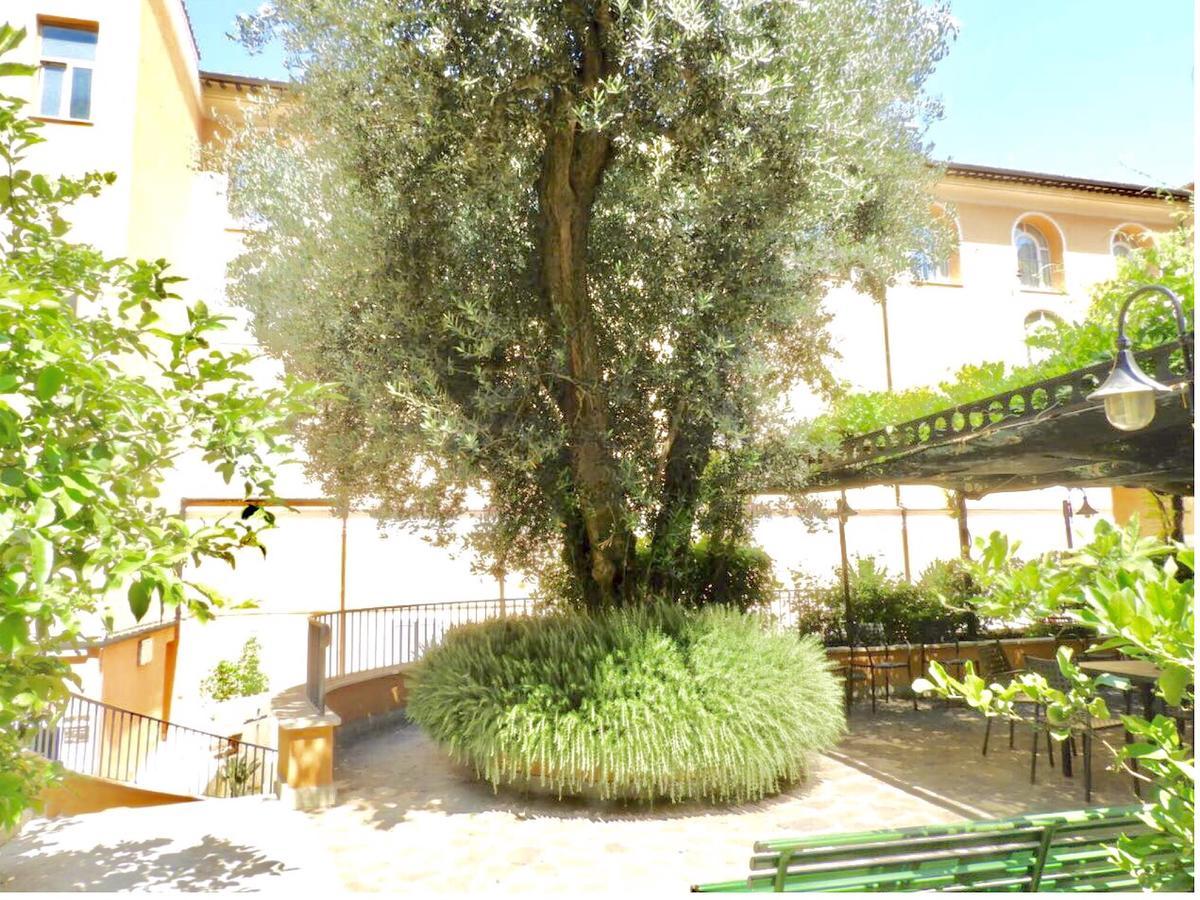 Basilica Hotel 3*