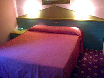 Flaminius Hotel 3*