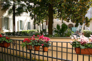 Orsa Maggiore For Women Only Ostello Roma