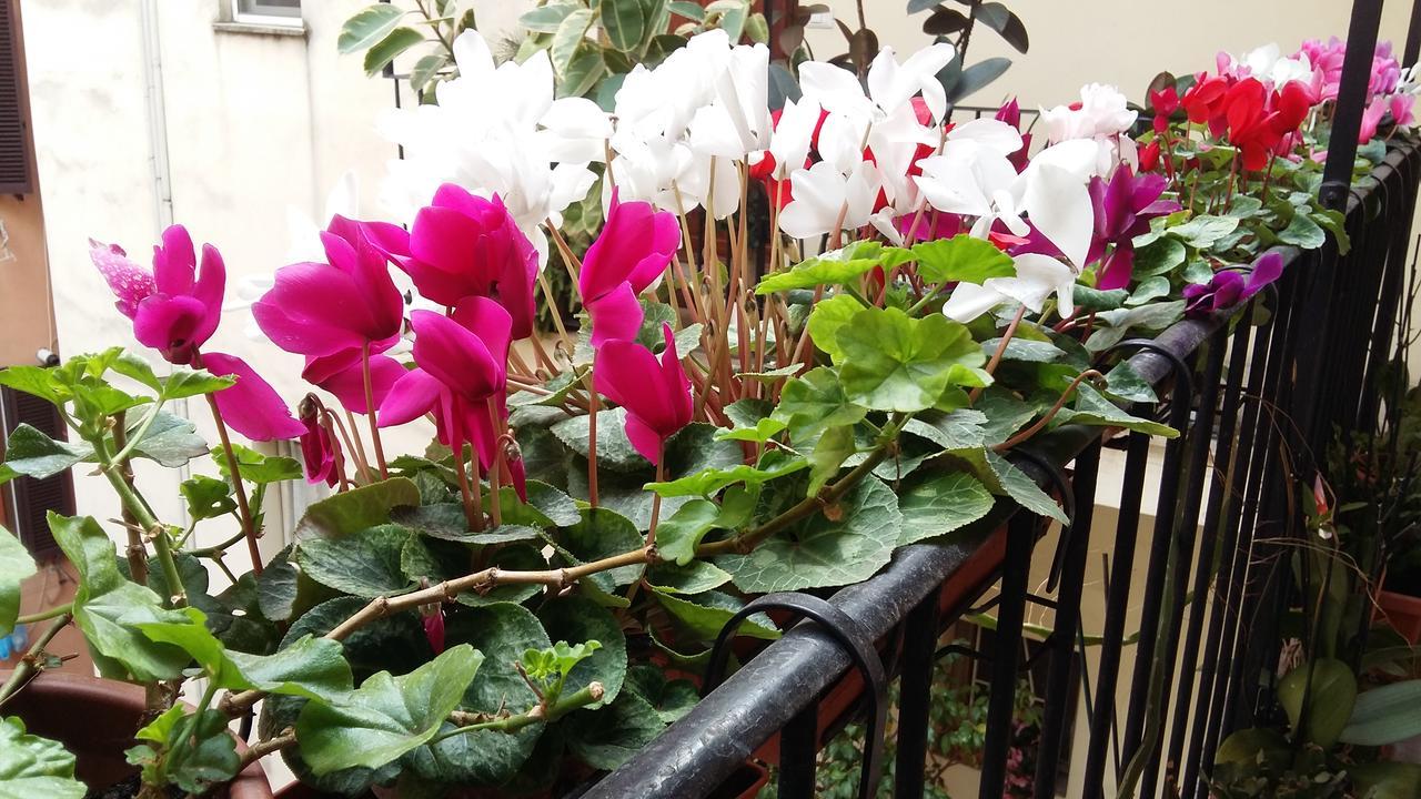 Apartamento Lilium House Aventino