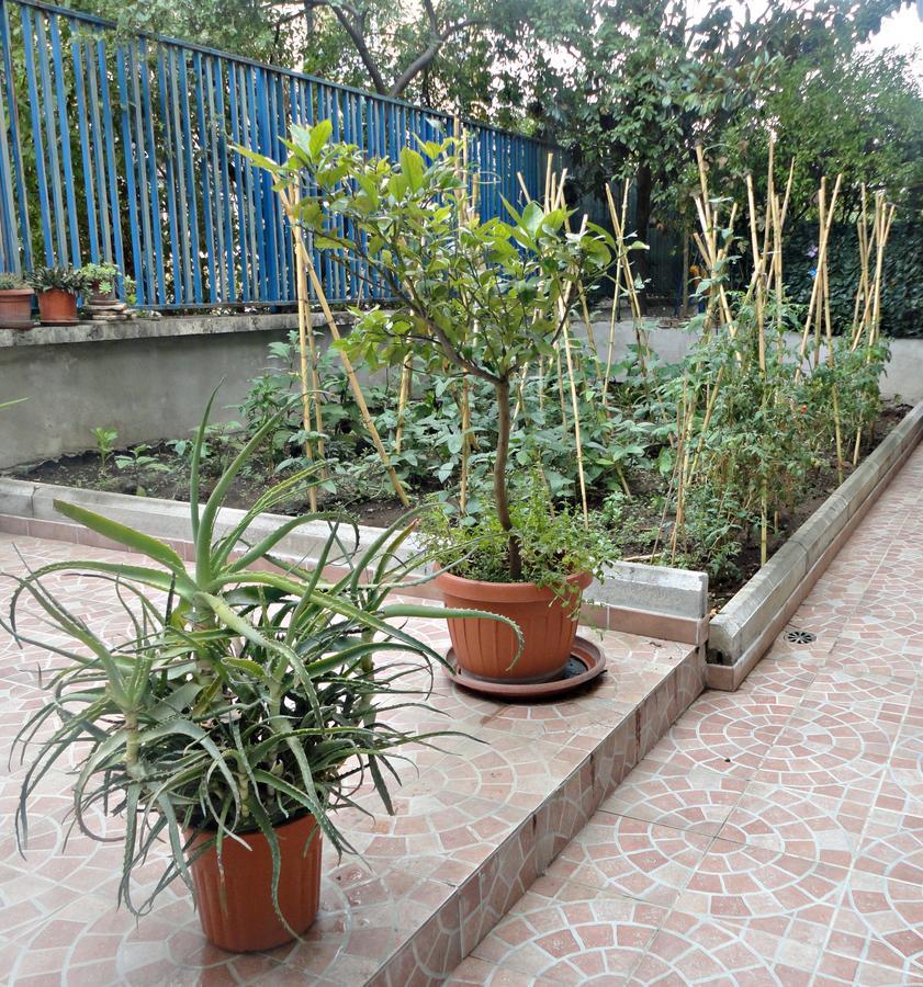 Lunablu Bed & Breakfast 3*