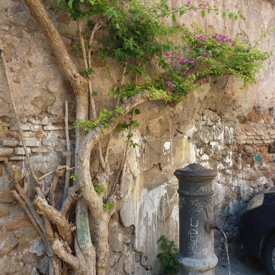 Ventisei Scalini A Trastevere Bed & Breakfast