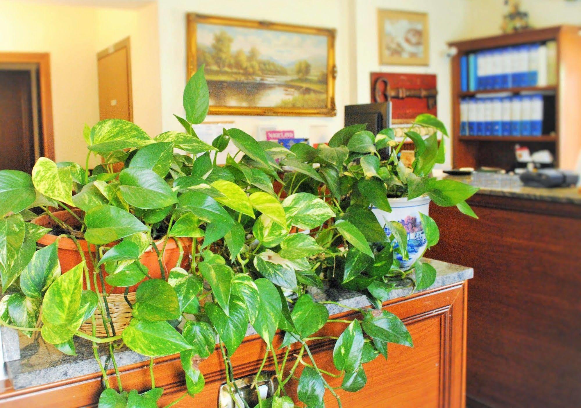 Hotell Octavia Roma