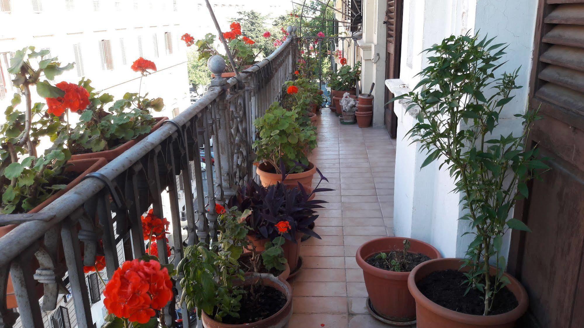 Hotel Aristotele 2*