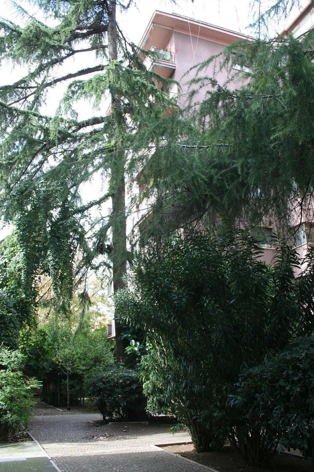 Maison Genevois 3 Bed & Breakfast Roma