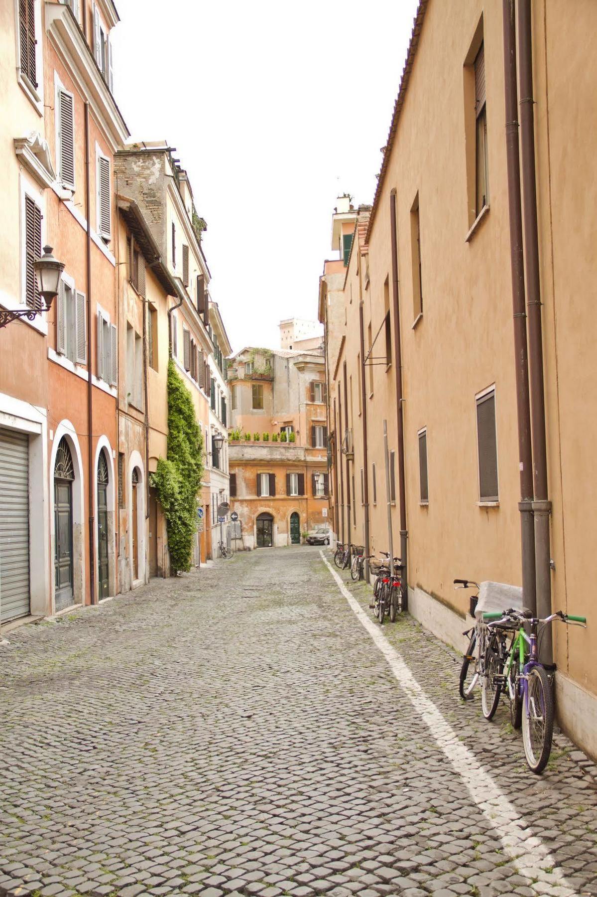 Elegant Behind The Colosseum Roma