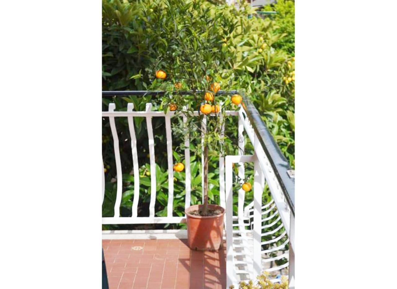 Casa Celeste Gjestgiverier Roma