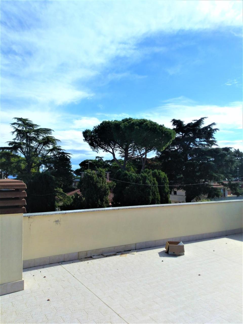 Torregaia