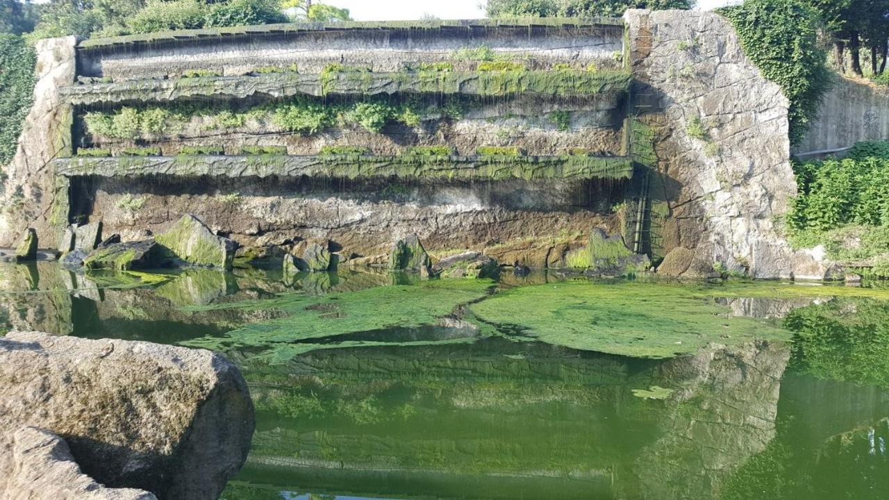 Eur Arcobaleno Gjestgiverier Roma