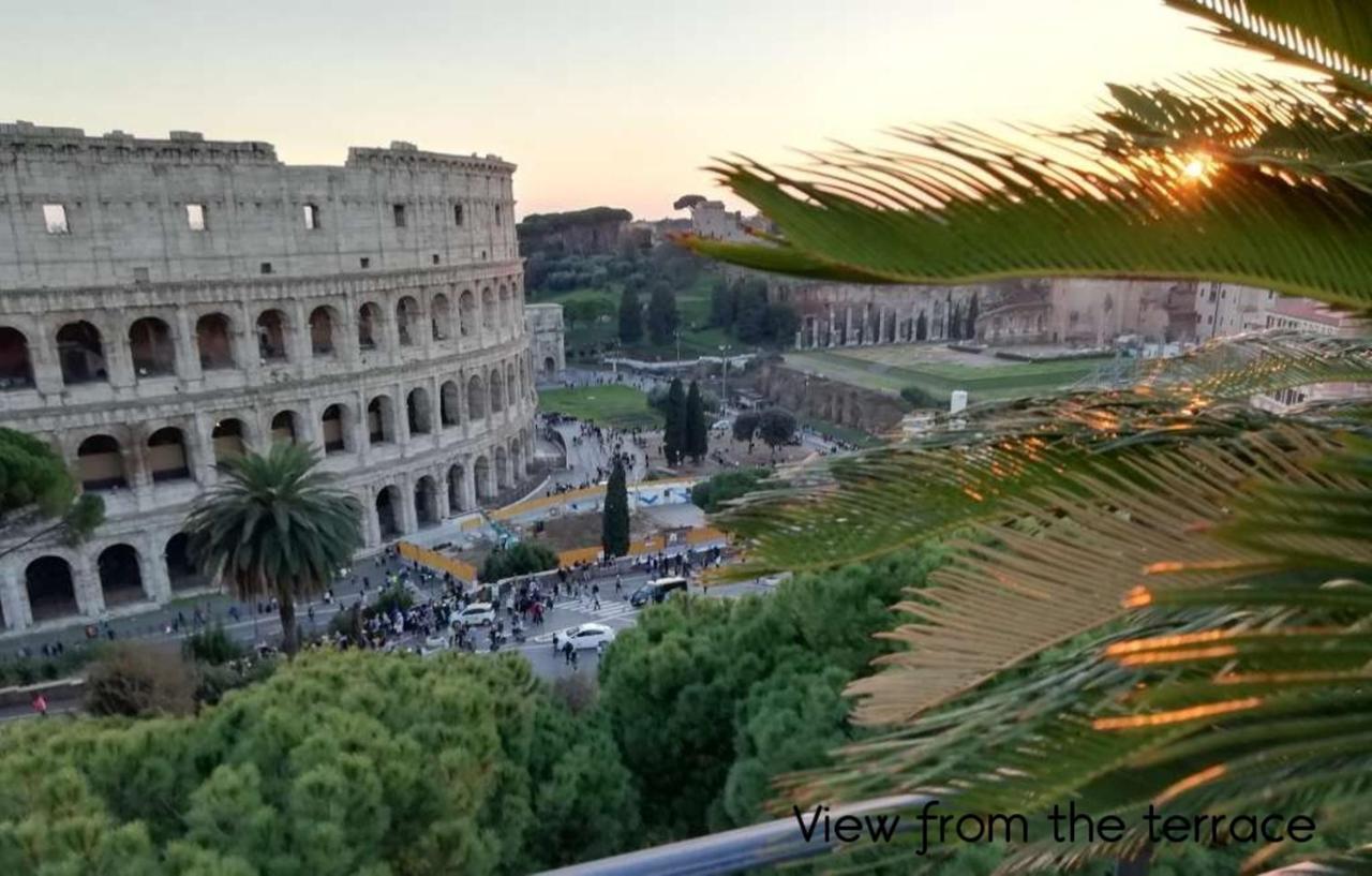 Colosseum Palace Star Casa de hóspedes