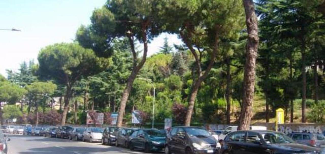 Magnolia St.peter's Gjestgiverier Roma