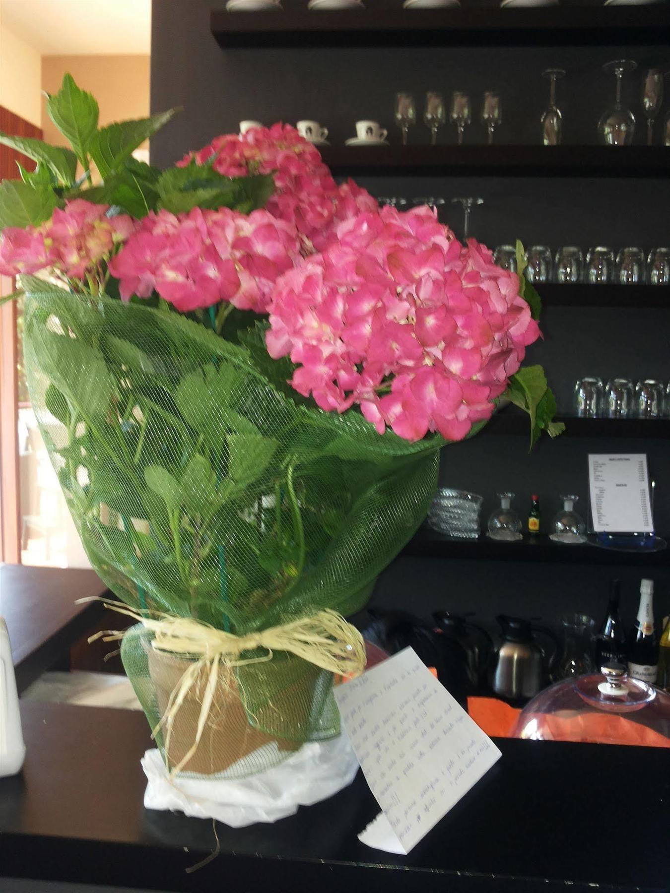 Aida Charming Bed & Breakfast Roma