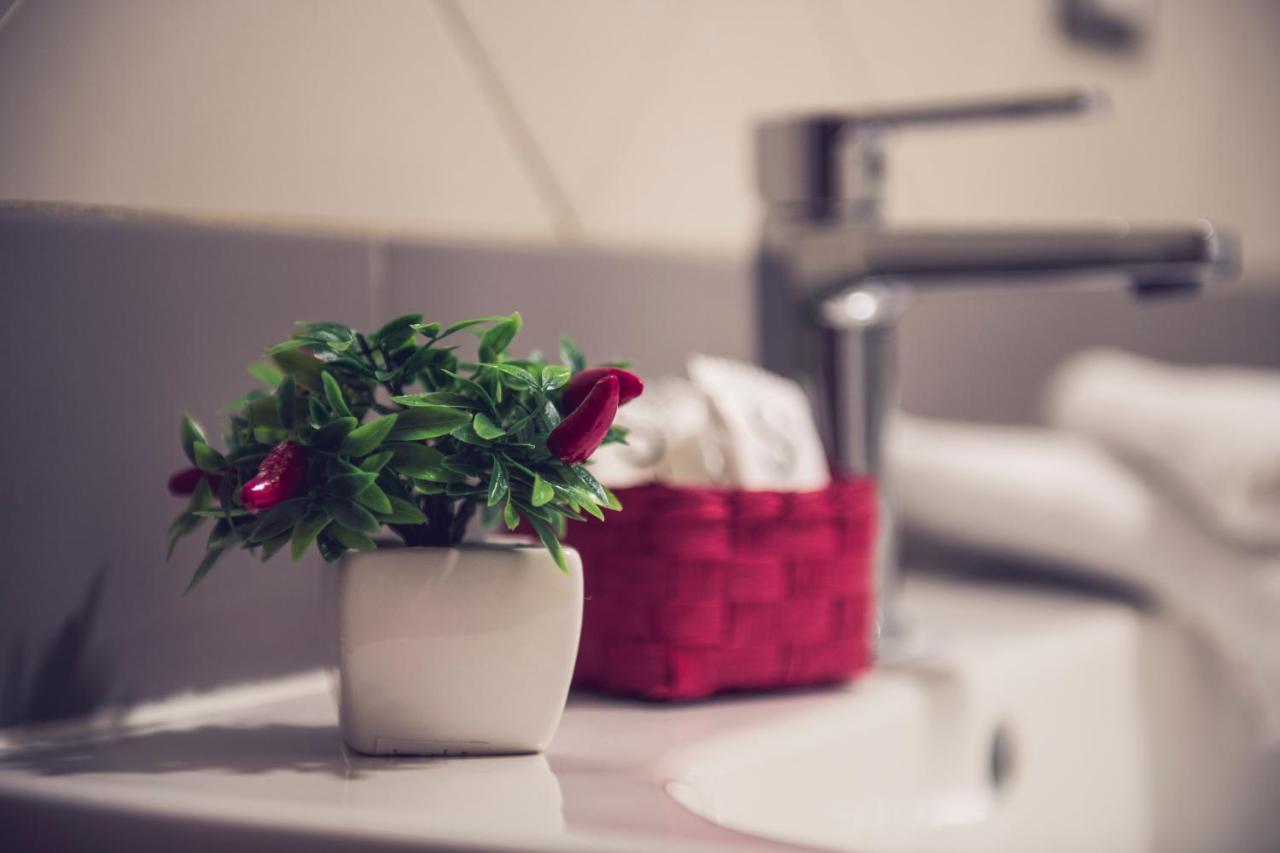 San Francesco A Ripa Apartment Rom