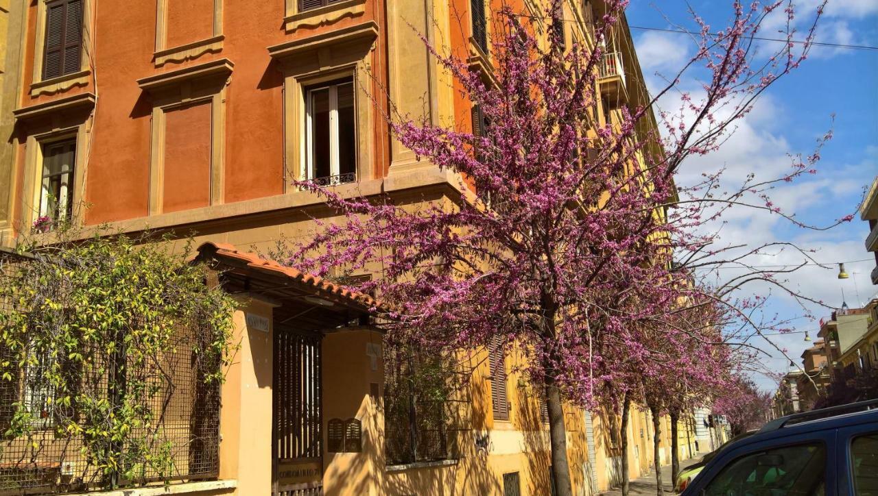 Musei Vaticani Bed and breakfast