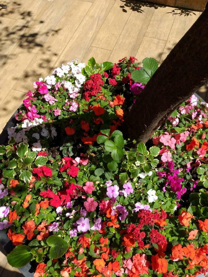 Monti Garden Rom