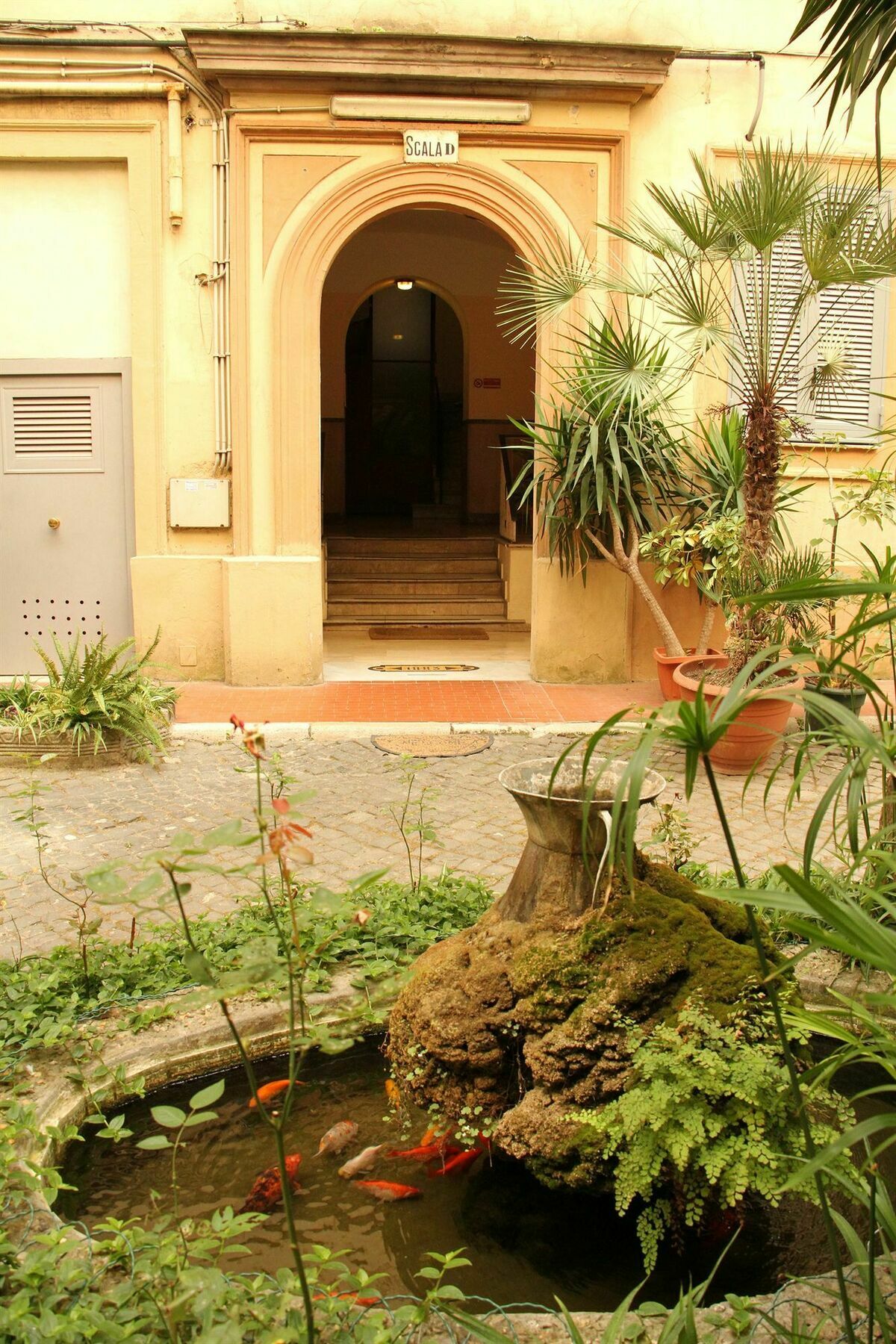 Giovy 2* Roma