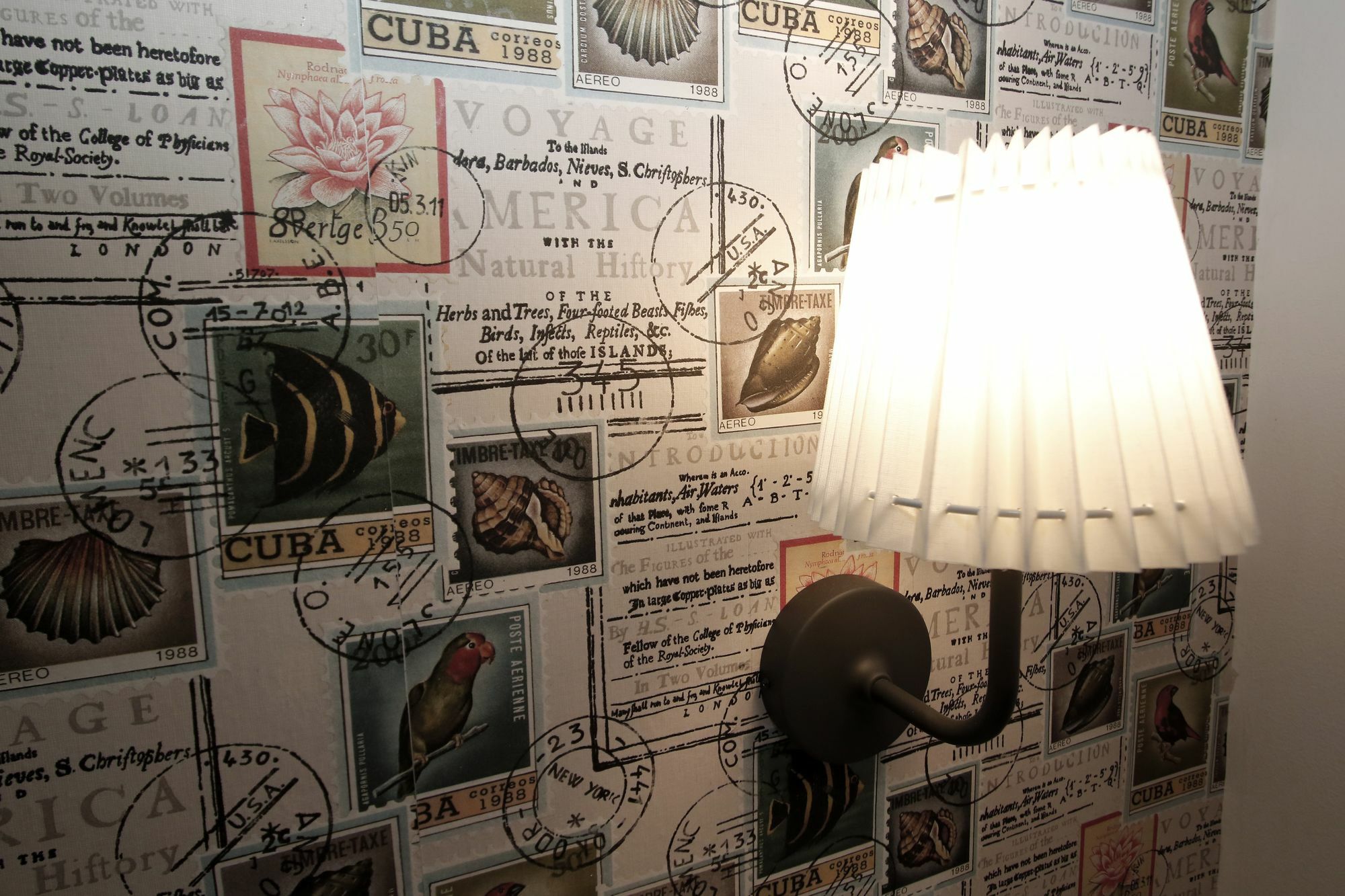 Casa de hóspedes Domus Iuliae