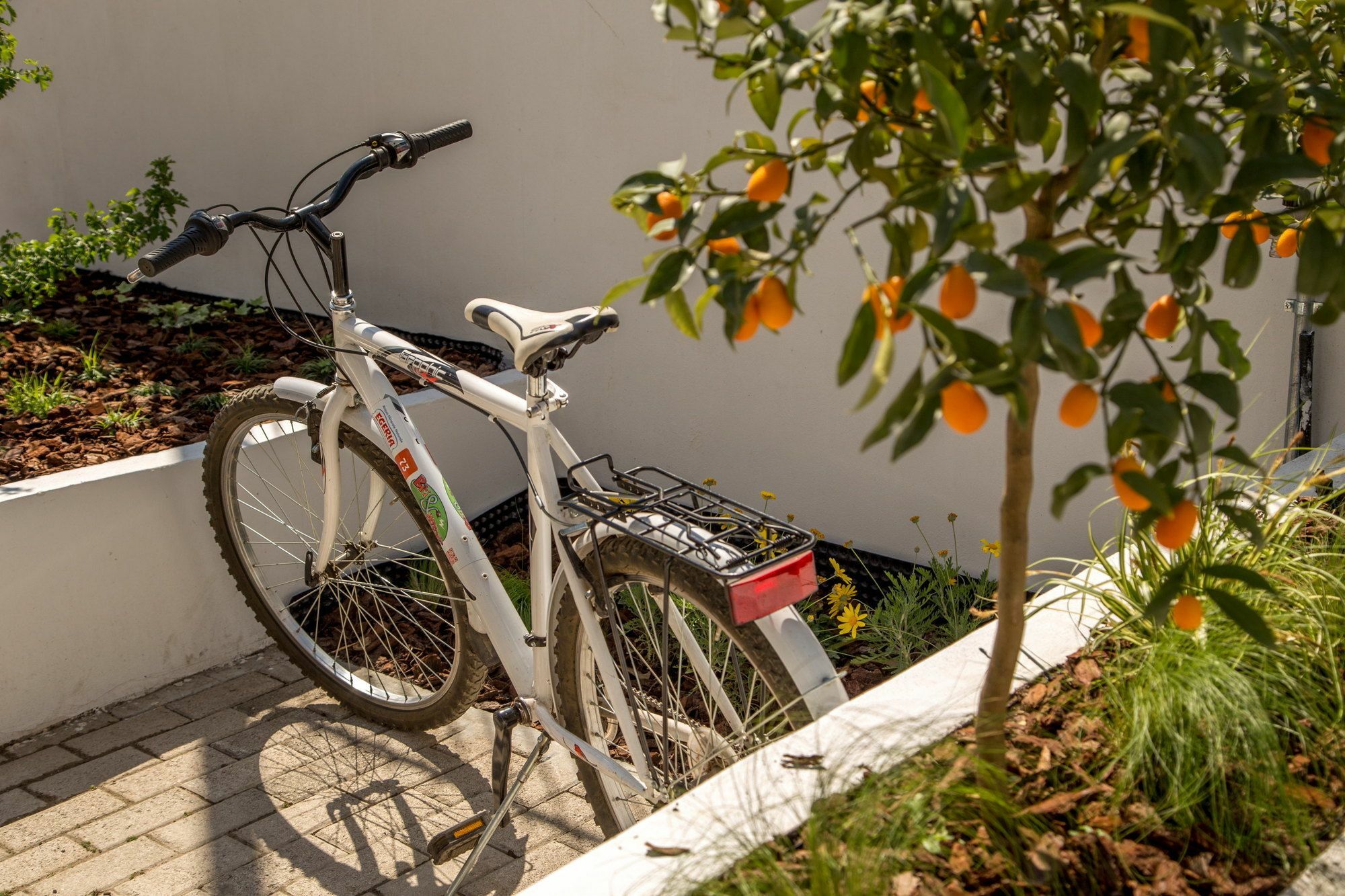 Hotel Urban Garden Rom