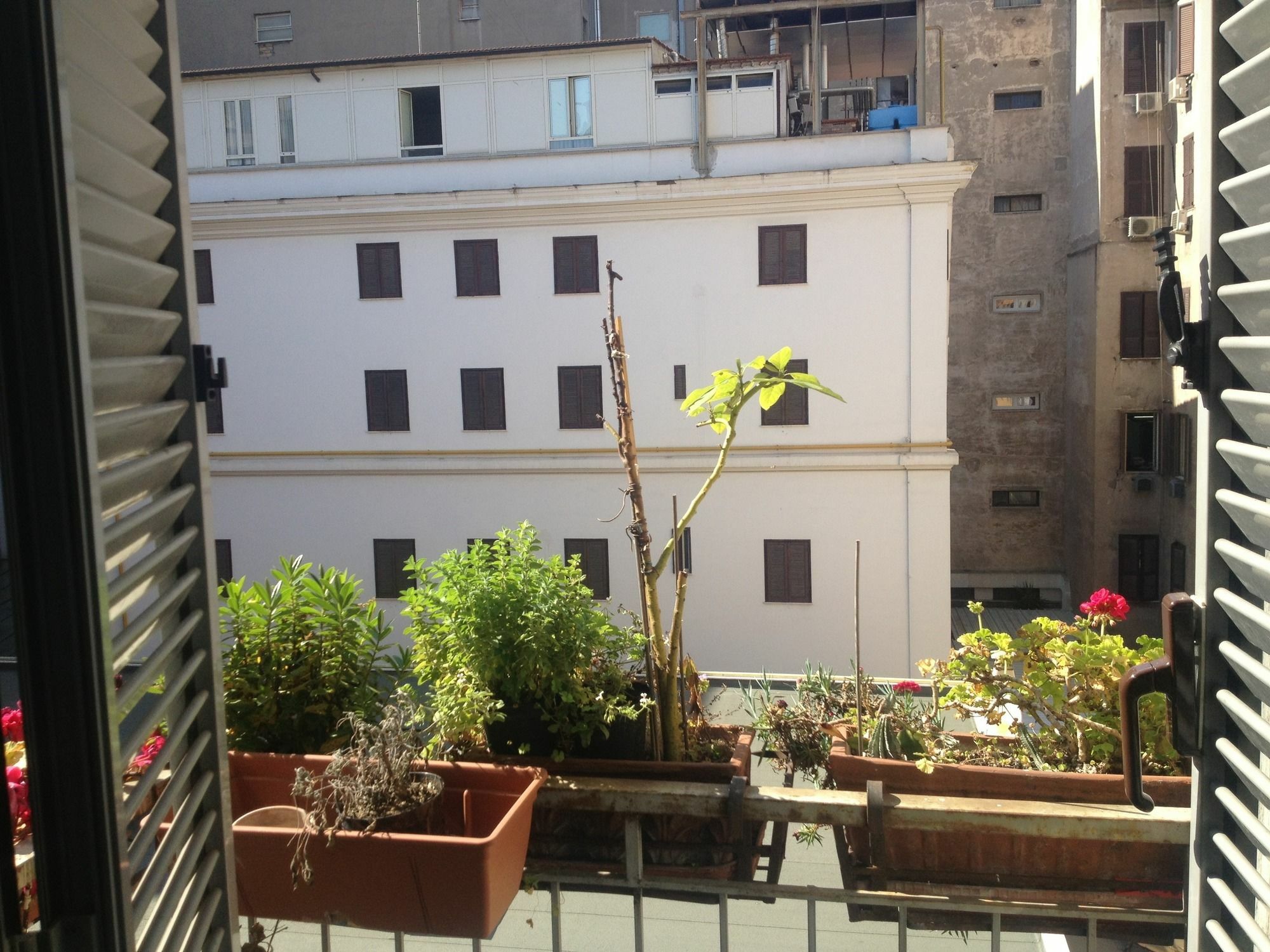 Casa de hóspedes Termini Roma