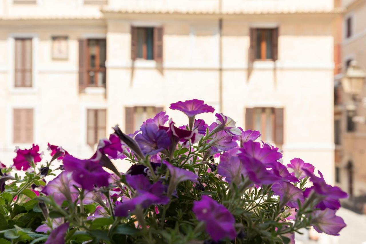 Buongiorno Colosseo Apartment Rom