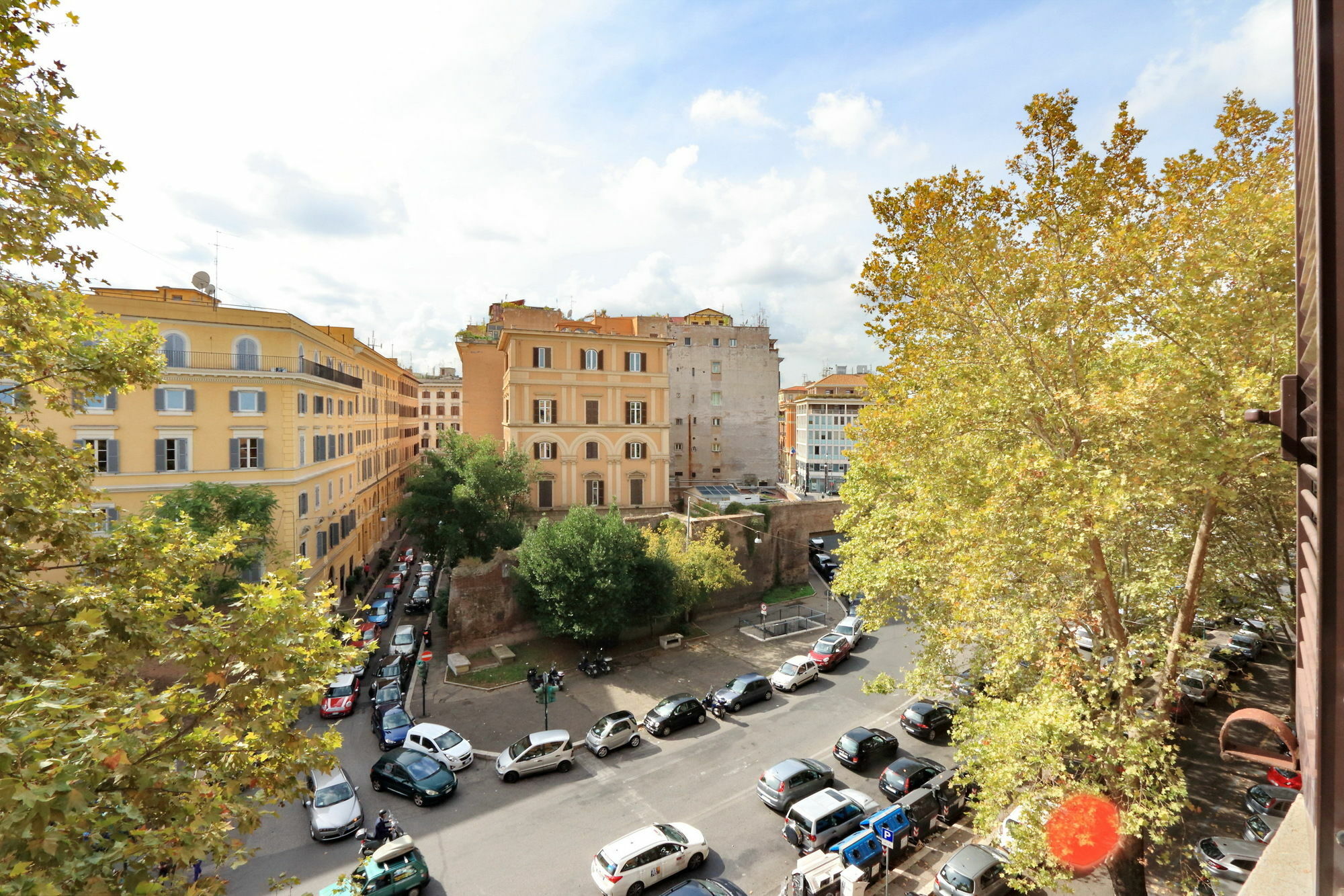 The Roma