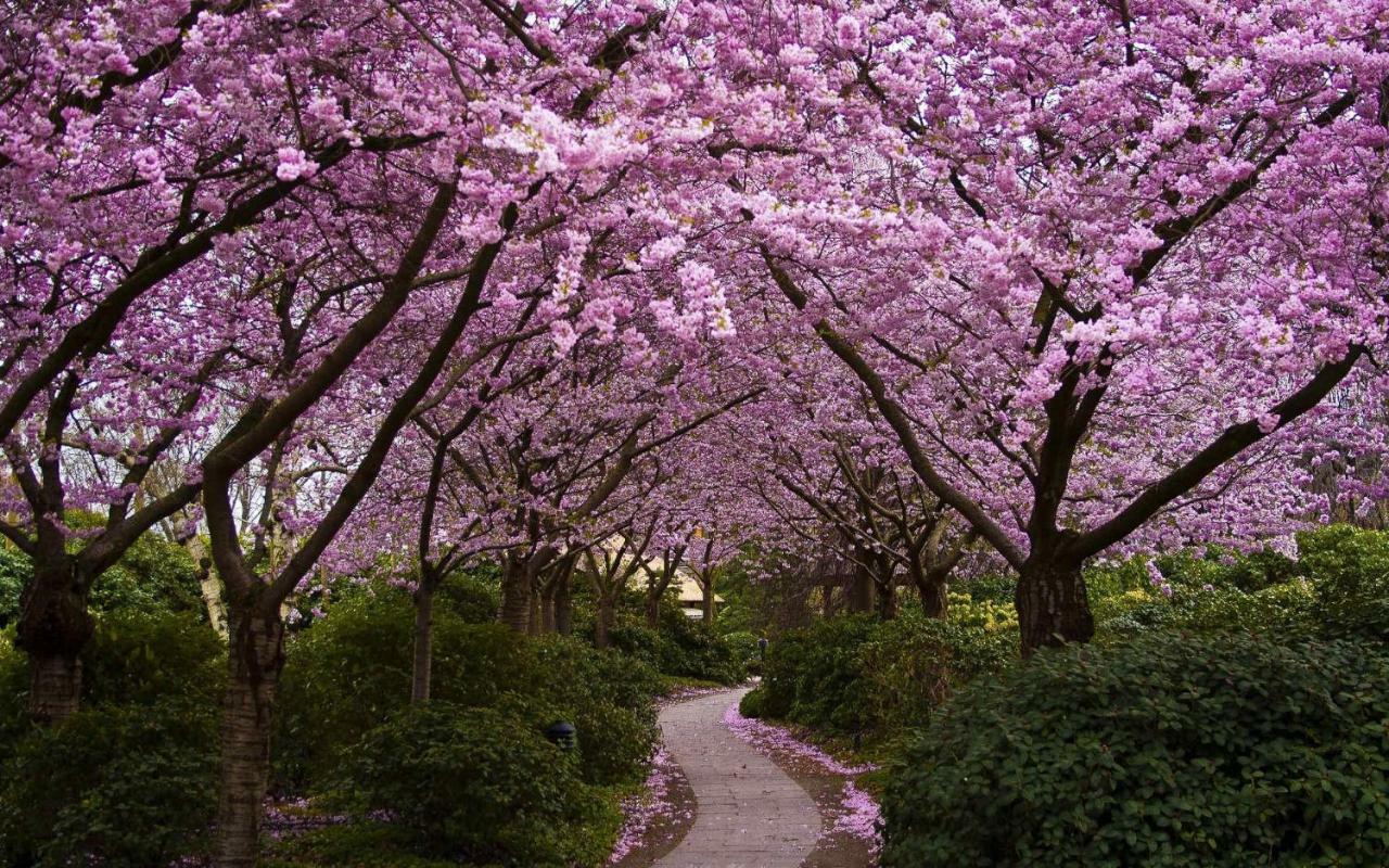 Parco Delle Perle * Rom