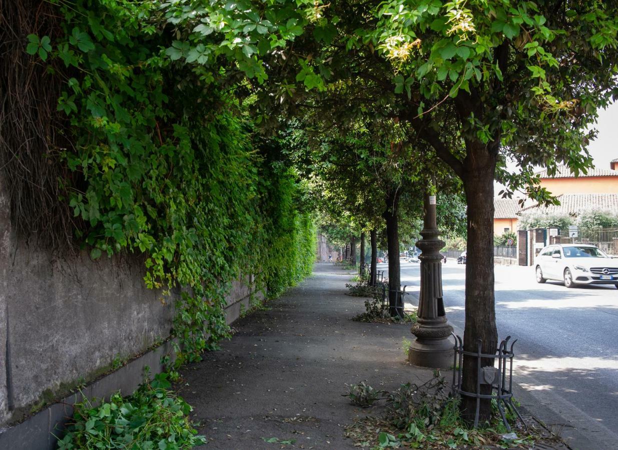 Domus Caracalla Nel Cuore Di Roma